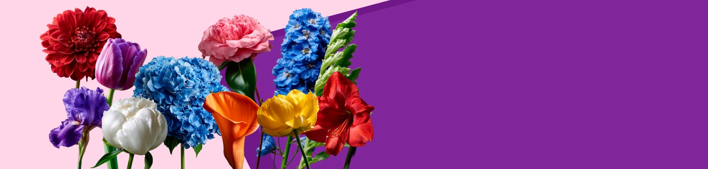 Stories That Bloom
